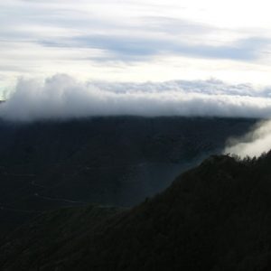 mer de nuages en formation - Vallée Borgne (Mt aigoual)