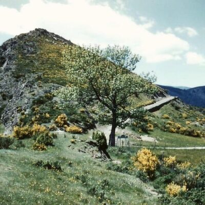 1960 Col de l'Espinas en Cévennes 