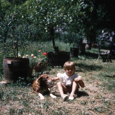 ... déjà de bonnes relations avec les “frères animaux” ...  , c'était en 1958 à Générargues dans le Gard, elle s'appelait “Folette” et on s'entendait bien, le temps d'un été ...