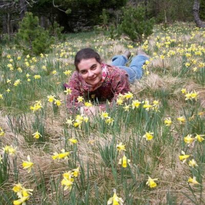 2011 ... dans les jonquilles aux sources de la Dourbie, Mt Aigoual