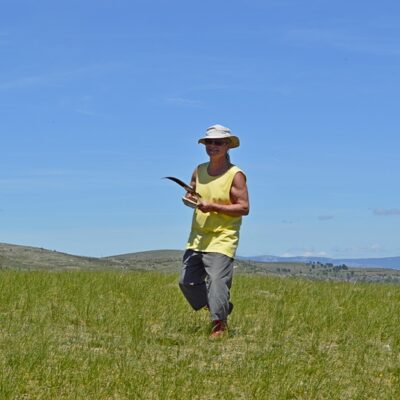 2017 - sur le Causse Méjan