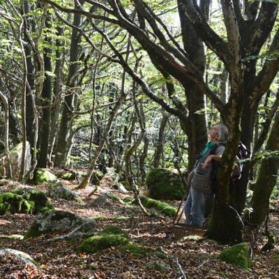 2022 - au Puech d'Aussaresses dans Parc naturel régional du Haut-Languedoc (Col de Picotalen - Tarn)