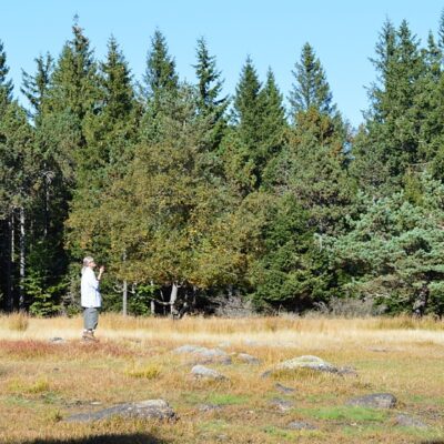  2021 - lieu dit « La Mare », les Pises Mt Aigoual