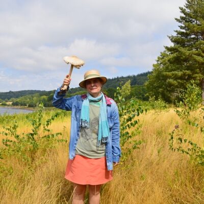 2023 - ...sur les berges du Lac du Laouzas, « lépiote élevée » 